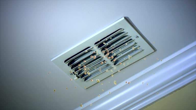 Best Residential Air Duct Cleaning  in Blue Bell, PA